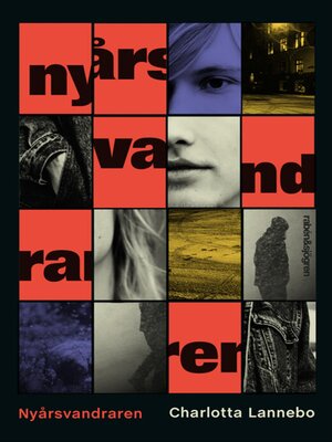 cover image of Nyårsvandraren